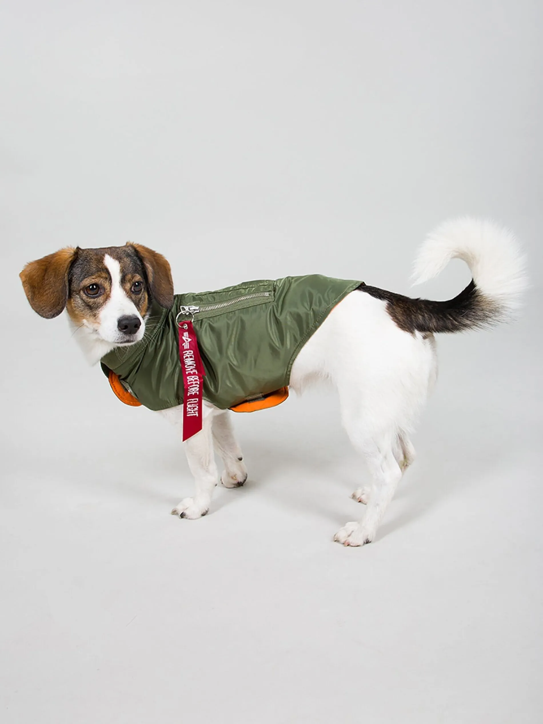 DOG MA-1 NYLON FLIGHT JACKET