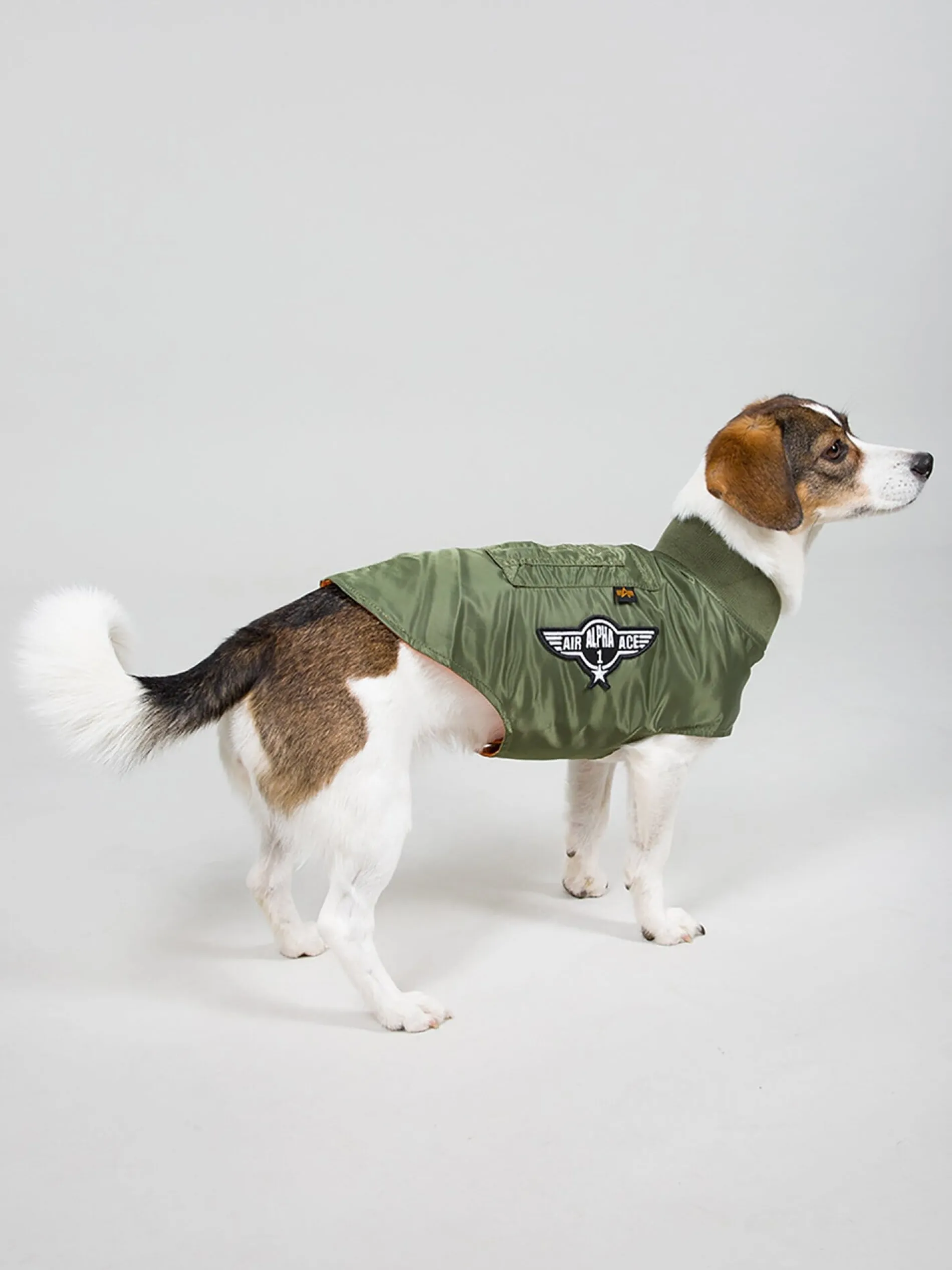 DOG MA-1 NYLON FLIGHT JACKET